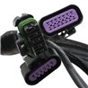 Holley | Terminator® Stealth Series Main Harness