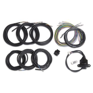 Holley | Digital Dash I/O Adapter w/Unterminated Vehicle Harness