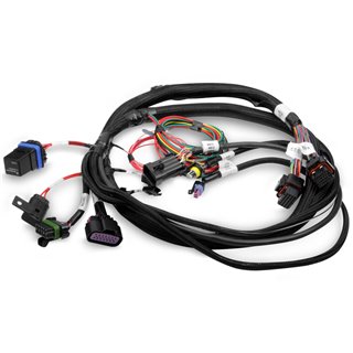 Holley | Terminator® EFI Wiring Harness