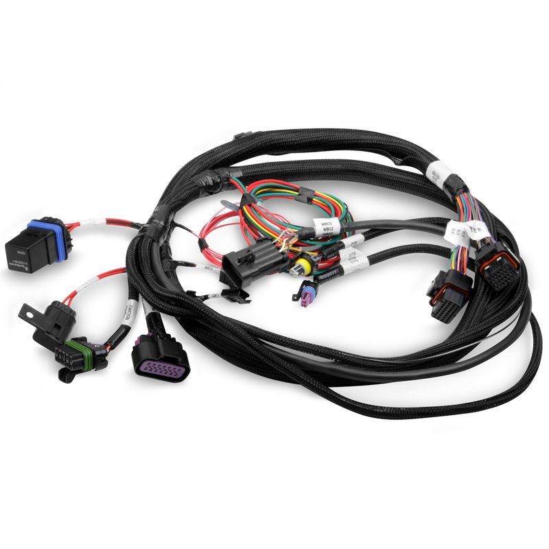 Holley | Terminator® EFI Wiring Harness