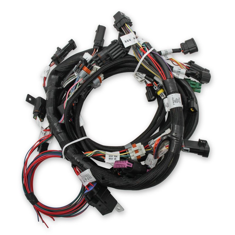 Holley | Holley EFI Ford Coyote TI-VCT Engine Main Wiring Harness - F-150 / Mustang 5.0L 2011-2014 Holley Accessories