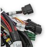 Holley | Holley EFI Ford Coyote TI-VCT Engine Main Wiring Harness - F-150 / Mustang 5.0L 2011-2014 Holley Accessories