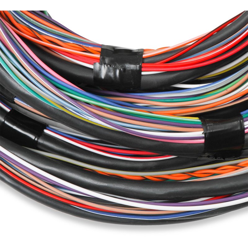 Holley | Unterminated Main Engine Wire Harness
