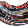 Holley | Unterminated Main Engine Wire Harness