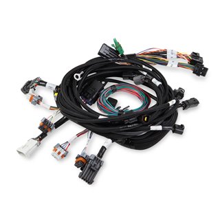 Holley | Injector Harness