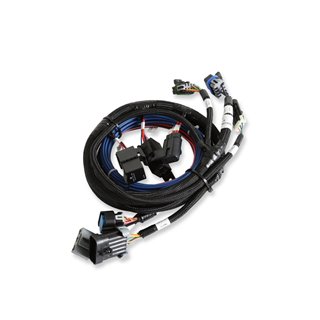 Holley | Sniper EFI Hyperspark Harness