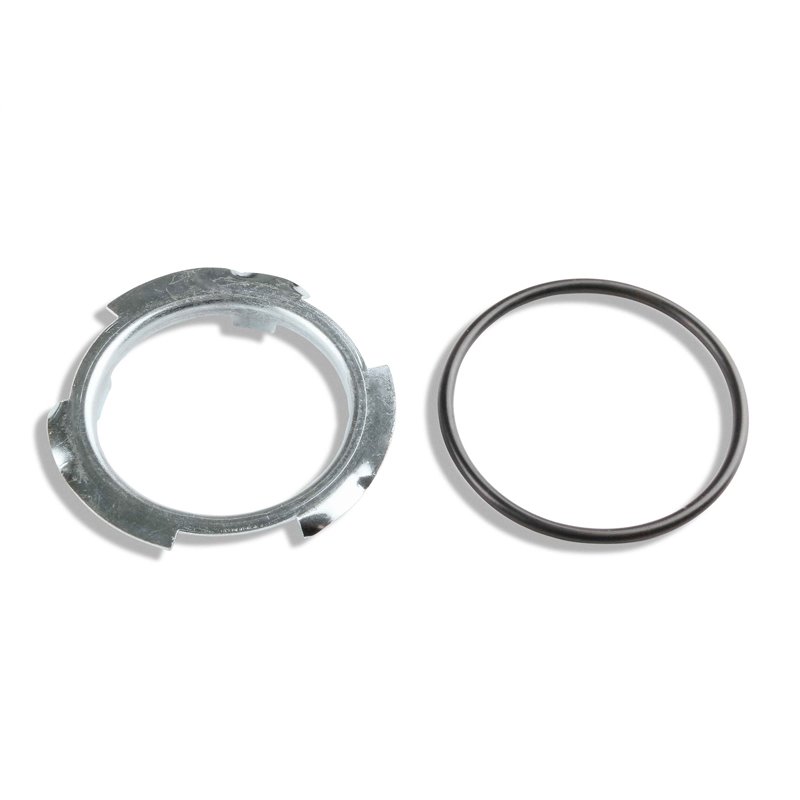 Holley | OEM Style EFI Fuel Tank Modules Holley Fuel Pumps