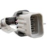 Holley | LS Ignition Coil Harness