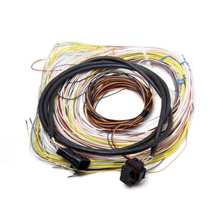 Holley | Dominator EFI Connector J2A Auxiliary Harness