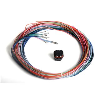 Holley | Dominator EFI Connector J2B Auxiliary Harness