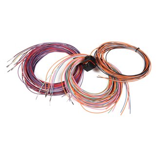 Holley | Dominator EFI Connector J3 Auxiliary Harness