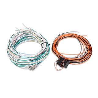 Holley | Dominator EFI Connector J4 Auxiliary Harness
