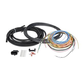 Holley | Universal Unterminated Ignition Harness