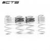 CTS Turbo | Lowering Coil Spring Set - A4 / S4 B8/B8.5 2010-2016 CTS Turbo Coil Springs