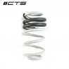 CTS Turbo | Lowering Coil Spring Set - A4 / S4 B8/B8.5 2010-2016 CTS Turbo Coil Springs