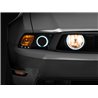 Raxiom | LED Halo Fog Lights - Mustang 2005-2012 Raxiom Fog Light