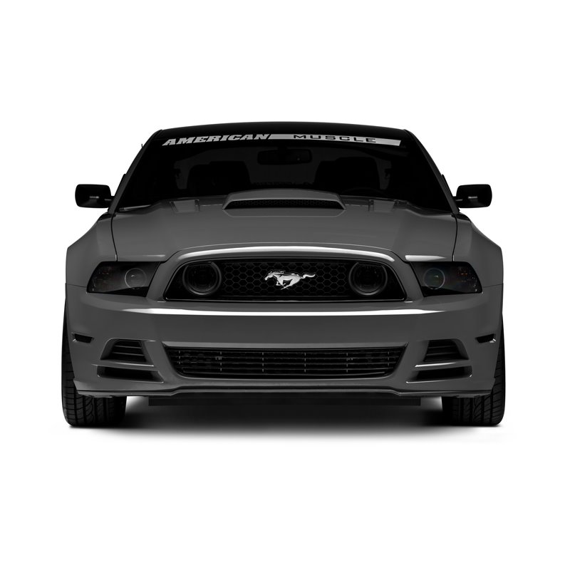 Raxiom | CCFL Halo Fog Lights - Mustang 2013-2014 Raxiom Fog Light