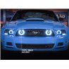 Raxiom | CCFL Halo Fog Lights - Mustang 2013-2014 Raxiom Fog Light