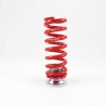 RS-R | Sports-I Coilovers - GS-F 2016-2020 RS-R Coilovers