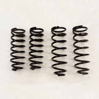 RS-R | Down Sus Coil Springs - LS430 2001-2006 RS-R Coil Springs
