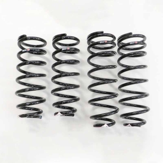 RS-R | Super Down Sus Coil Springs - LS430 2001-2006 RS-R Coil Springs