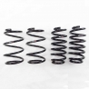 RS-R | Down Sus Coil Springs - CT200H 2011-2017 RS-R Coil Springs