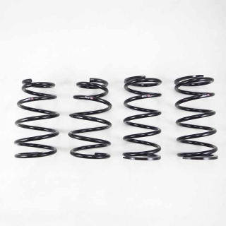 RS-R | Down Sus Coil Springs - RX350 AWD 2016-2021 RS-R Coil Springs