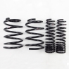 RS-R | Down Sus Coil Springs - Lancer Evolution X 2008-2015 RS-R Coil Springs