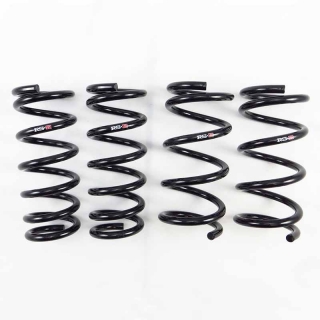 RS-R | Down Sus Coil Springs - 370Z 2009-2020 RS-R Coil Springs