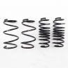 RS-R | Down Sus Coil Springs - Prius 2010-2015 RS-R Coil Springs