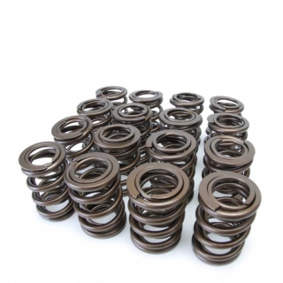 Skunk2 | Alpha Valve Spring Set - Prelude 2.2L 1993-2001 Skunk2 Racing Composantes moteur interne