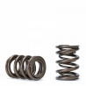 Skunk2 | Alpha Valve Spring Set - Prelude 2.2L 1993-2001 Skunk2 Racing Valves & Valvetrain Parts