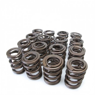 Skunk2 | Alpha Valve Spring Set - Honda / Acura 2002-2011 Skunk2 Racing Valves & Valvetrain Parts