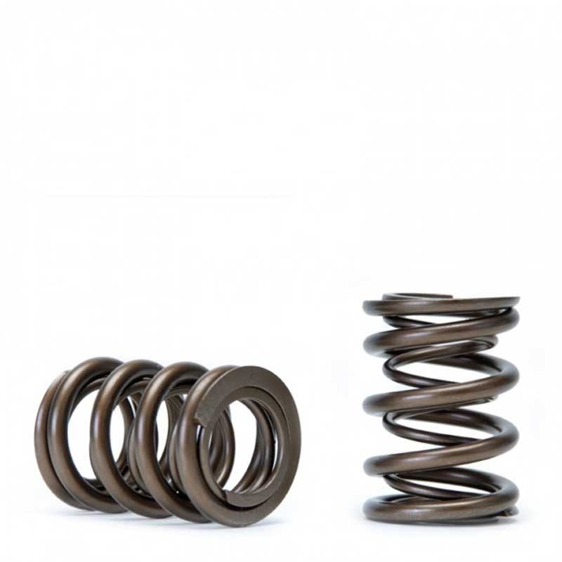 Skunk2 | Alpha Valve Spring Set - Honda / Acura 2002-2011 Skunk2 Racing Valves & Valvetrain Parts