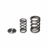 Skunk2 | Alpha Valve Spring & Ti Retainer Kit - Prelude 2.2L 1992-2001 Skunk2 Racing Composantes moteur interne