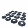 Skunk2 | Spring Base Kit - Honda / Acura 2002-2011 Skunk2 Racing Valves & Valvetrain Parts