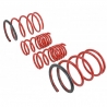 Skunk2 | Lowering Springs - Civic / Del Sol 1992-1997 Skunk2 Racing Coil Springs