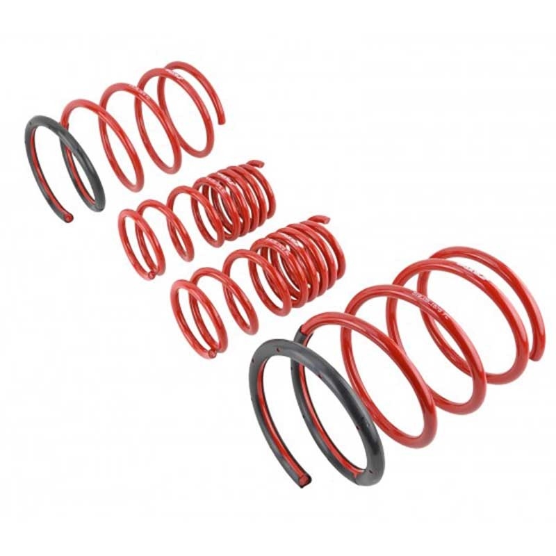 Skunk2 | Lowering Springs - Civic Si 1.6L 2002-2005 Skunk2 Racing Coil Springs