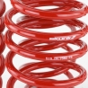 Skunk2 | Lowering Springs - Civic 1.8L / 2.0L 2006-2011 Skunk2 Racing Coil Springs