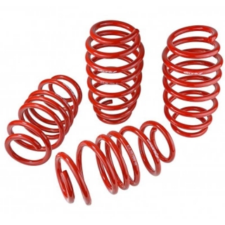 Skunk2 | Lowering Springs - Civic 1.8L / 2.0L 2012-2015 Skunk2 Racing Coil Springs