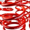 Skunk2 | Lowering Springs - Civic 1.8L / 2.0L 2012-2015 Skunk2 Racing Coil Springs