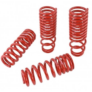 Skunk2 | Lowering Springs - Accord 1990-1997 Skunk2 Racing Coil Springs