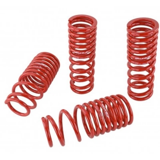 Skunk2 | Lowering Springs - Civic / CR-X 1.6L 1988-1991 Skunk2 Racing Coil Springs