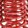 Skunk2 | Lowering Springs - Prelude 2.2L 1992-2001 Skunk2 Racing Coil Springs