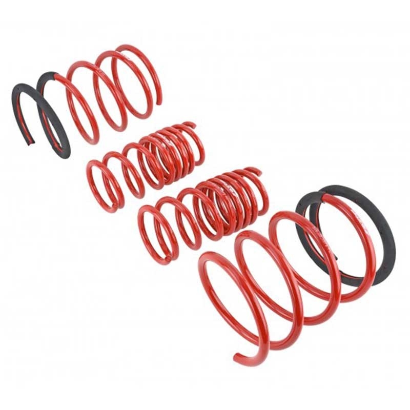 Skunk2 | Lowering Springs - RSX 2.0L 2005-2006 Skunk2 Racing Coil Springs