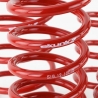 Skunk2 | Lowering Springs - BRZ / FR-S / 86 2013-2020 Skunk2 Racing Coil Springs