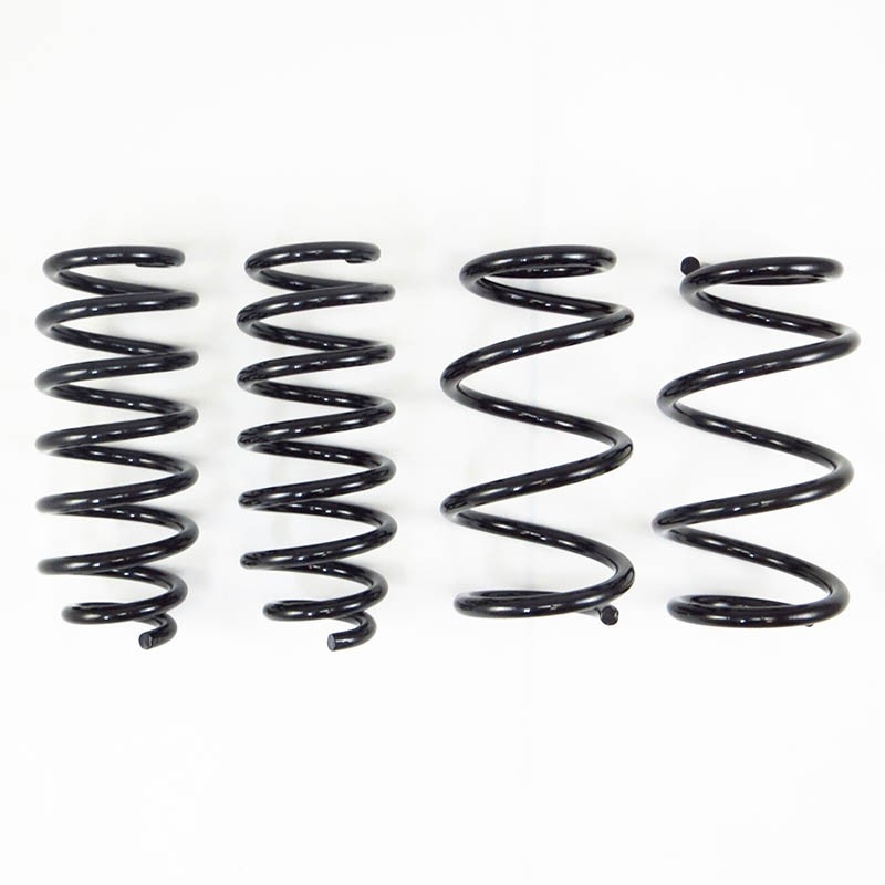 RS-R | Down Sus Coil Springs - Model 3 RWD 2017-2022 RS-R Coil Springs