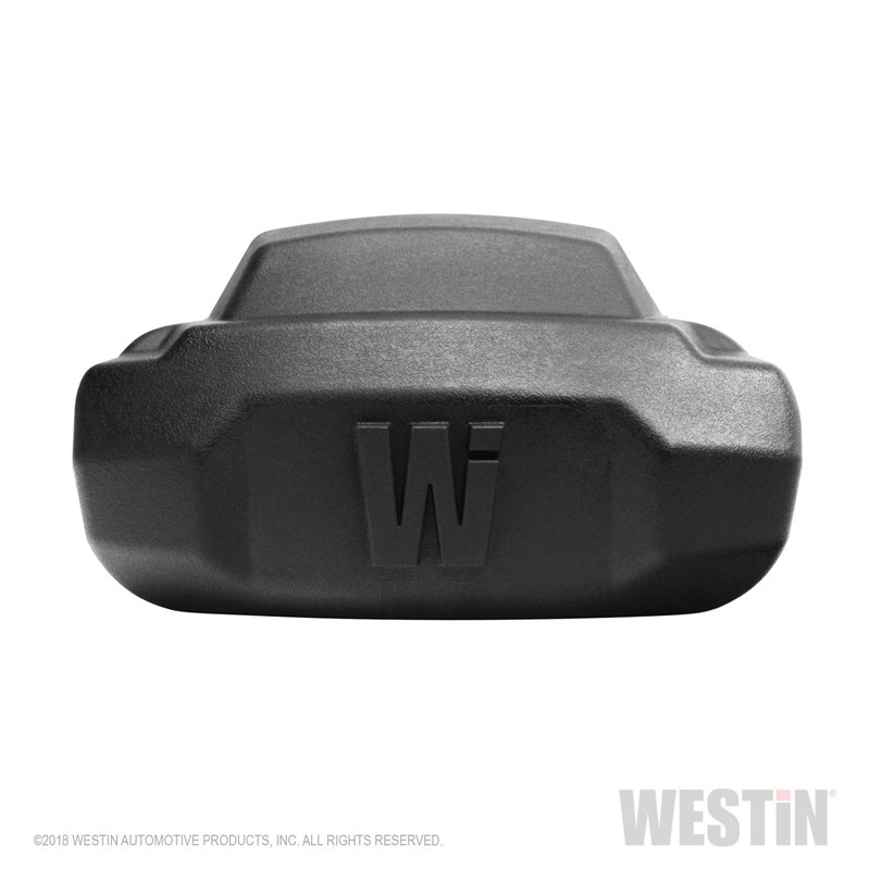 Westin Automotive | R5 Nerf LED Light Kit Westin Automotive Step Bars
