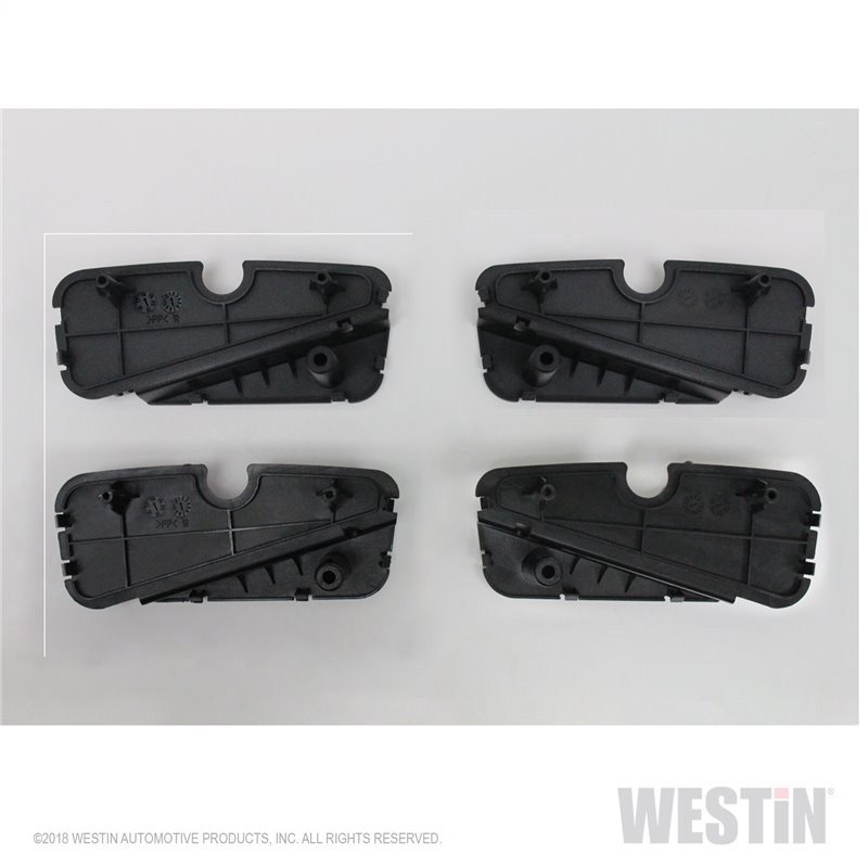 Westin Automotive | R5 Nerf LED Light Kit Westin Automotive Step Bars