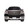 Putco | Shadow Grille Insert - F-150 4.2L / 4.6L / 5.4L 2004-2008 Putco Grilles